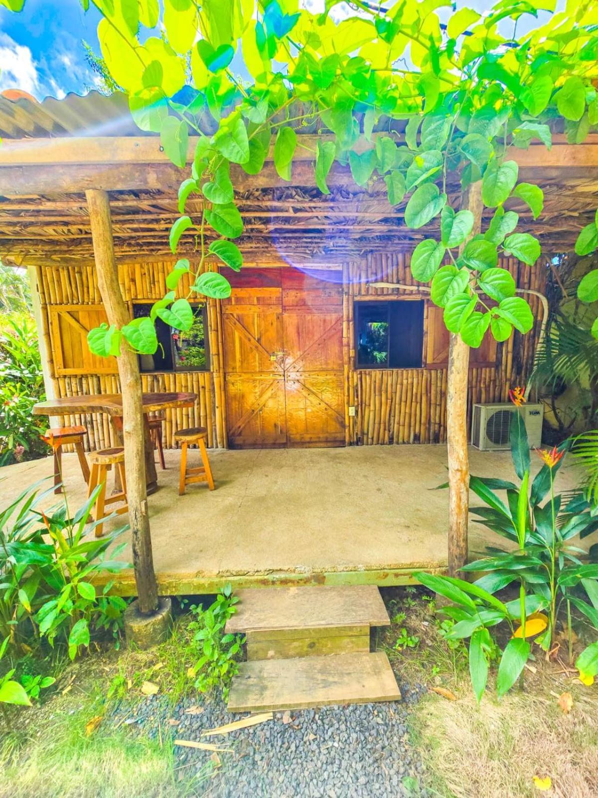 Hospedaje Combi Dream Bird Playas del Coco Exterior foto